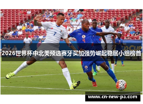 2026世界杯中北美预选赛牙买加强势崛起稳居小组榜首 2026世界杯中北美预选赛牙买加强势崛起稳居小组榜首